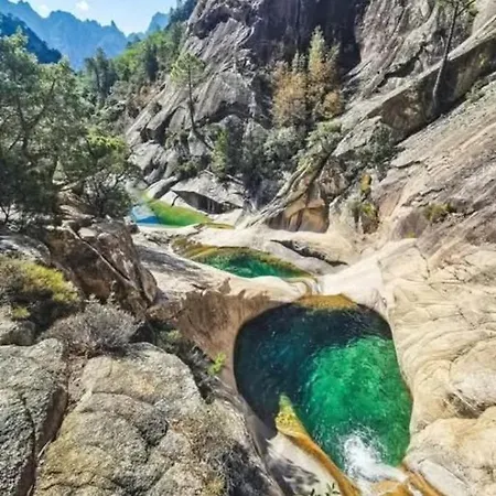 Apartamento Fresi Gustave *