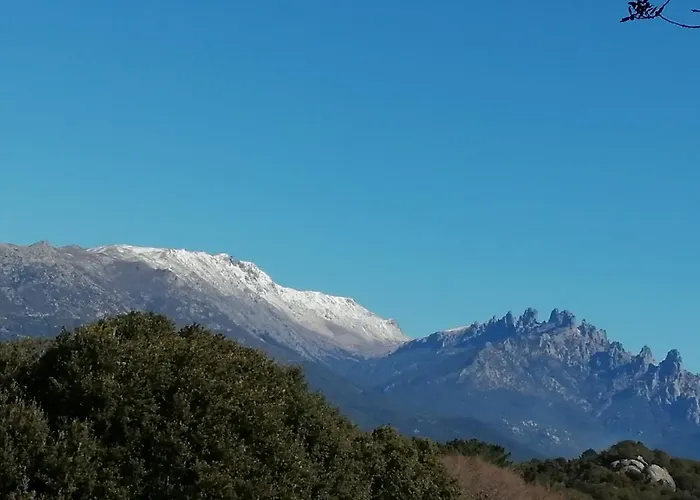 Fresi Gustave Apartment Levie