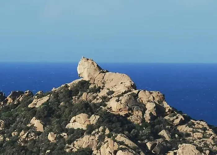 Fresi Gustave Appartement