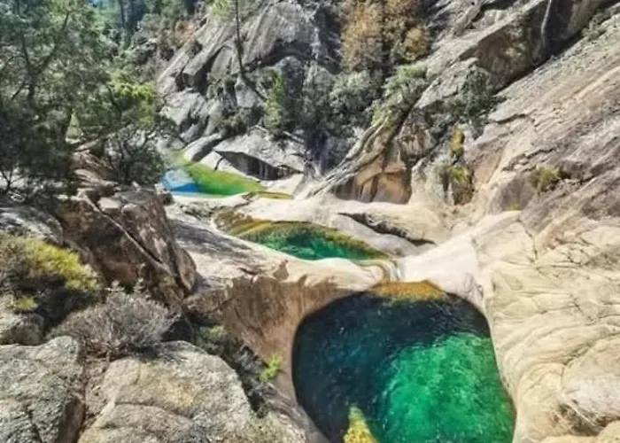 Appartement Fresi Gustave *